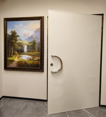 RF Shielding Swing Door for MRI room and rf cage with 1.2m*2.1m